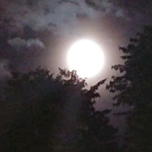 Meet your Posher, Avel